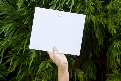 Hand Holding Card Mockup