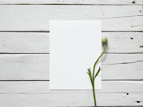 Realistic Paper Mockup